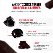 Mumijo Shilajit Original